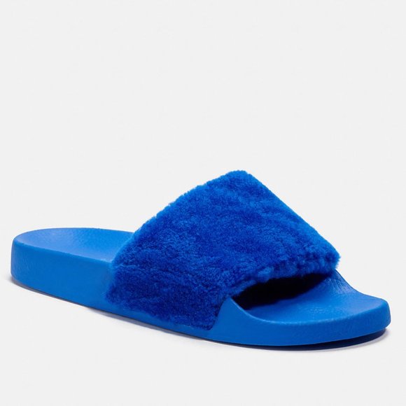 royal blue coach slides
